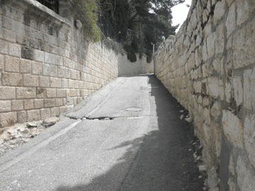 Mount of Olives Road
