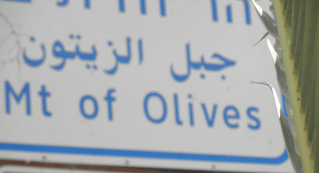 Mount of Olives. Mount of Olives.
