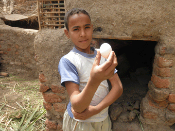 Ahmed's cousin, Mubarak