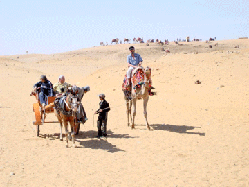 Charlie chose a camel.