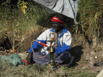 Mostafa and his Chesha