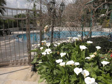 Arbel Guest House