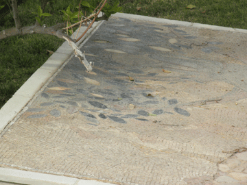 Jericho. Zacchaeus's Tile.