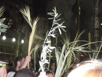 Palm Sunday Procession. Church of the Holy Sepulcher.