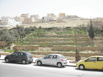 View from Petra Palace