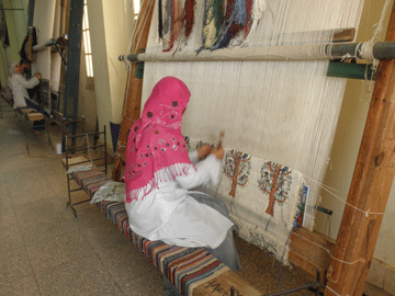 Saqqara Carpet School Student