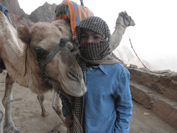 Mr. Sinai. 12 year old camel guide