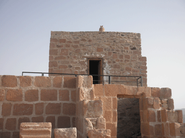 Top of Mount Sinai mosque